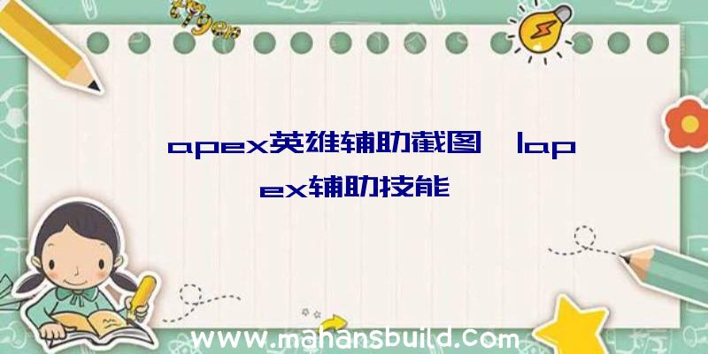 「apex英雄辅助截图」|apex辅助技能